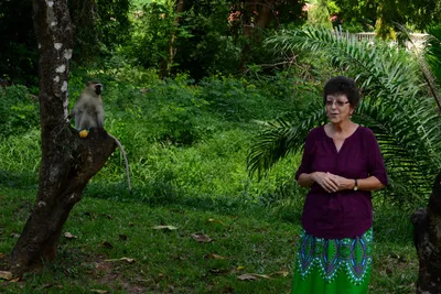 DSC_7934 (Large).JPG